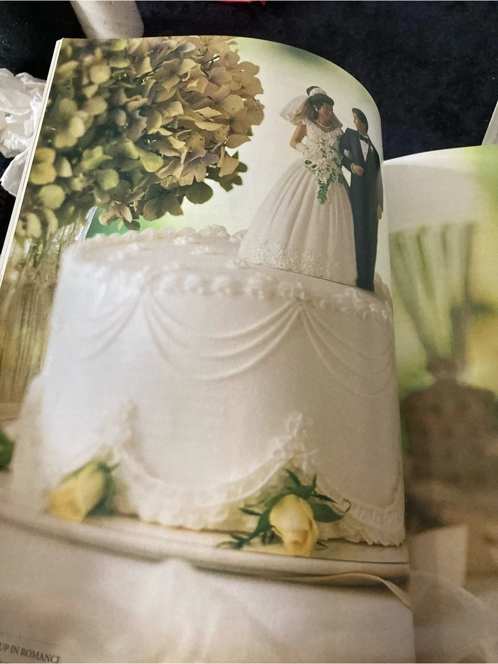 Wilton Wedding and Specialty Cake Decorating Guide Lot of 2